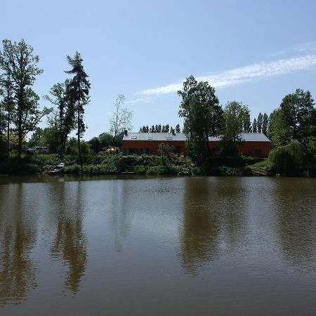 Florennes Gîte neuf 150 M2 devant un grand lac privé de 2 hectares poissonneux au milieu des bois Exterior foto