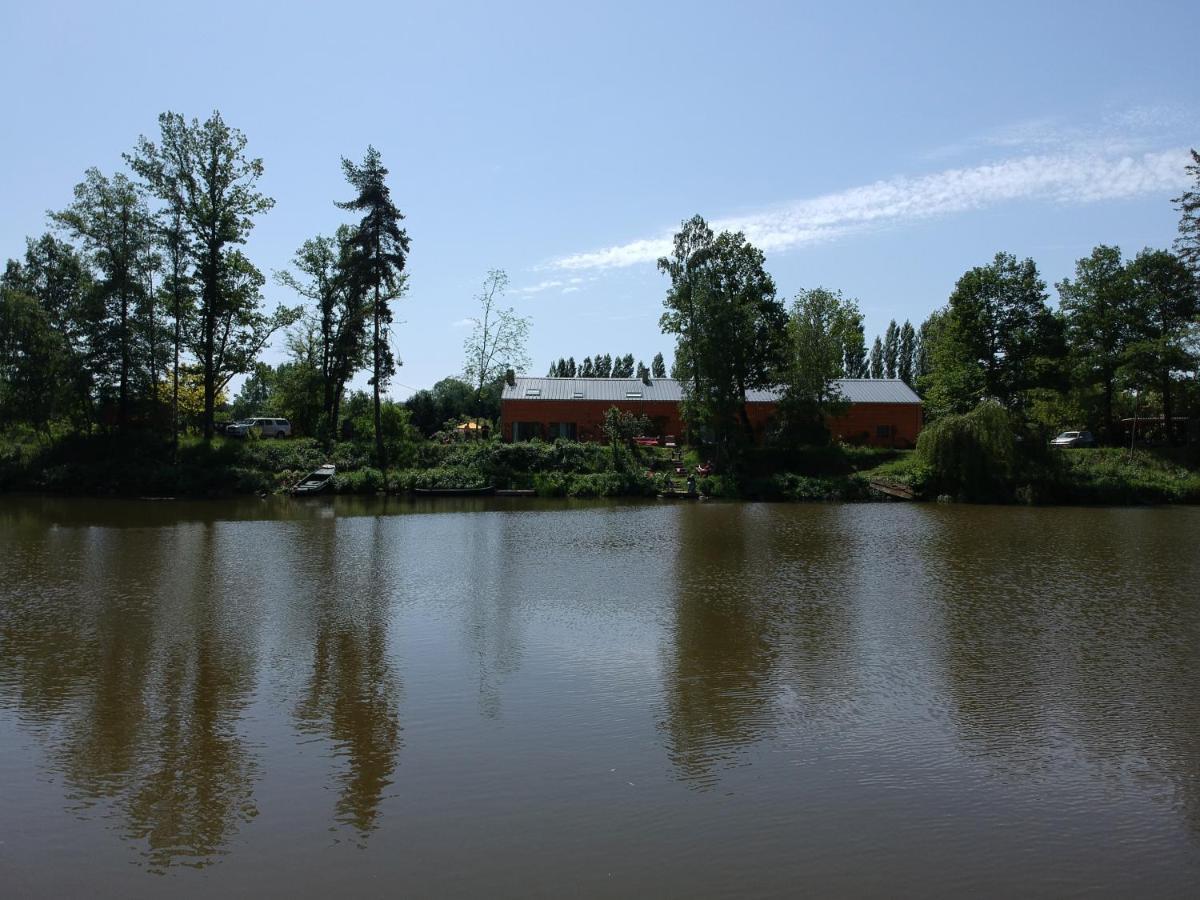Florennes Gîte neuf 150 M2 devant un grand lac privé de 2 hectares poissonneux au milieu des bois Exterior foto