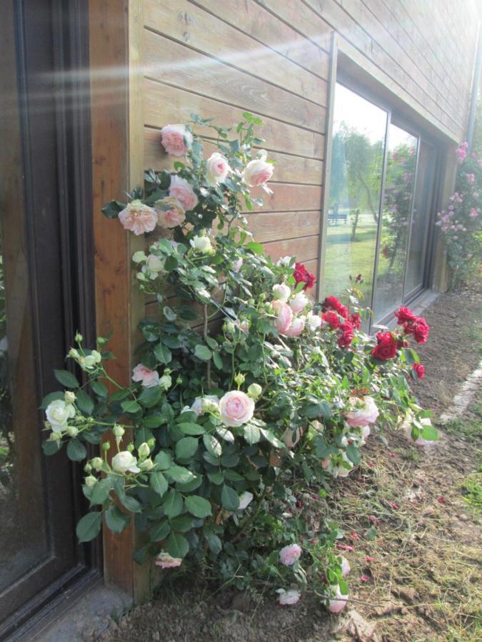 Florennes Gîte neuf 150 M2 devant un grand lac privé de 2 hectares poissonneux au milieu des bois Exterior foto