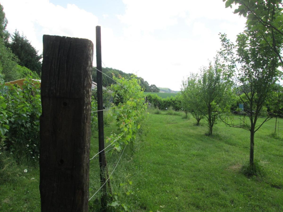 Florennes Gîte neuf 150 M2 devant un grand lac privé de 2 hectares poissonneux au milieu des bois Exterior foto