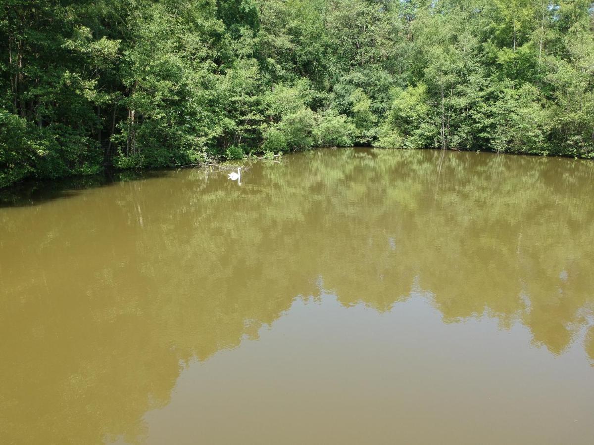 Florennes Gîte neuf 150 M2 devant un grand lac privé de 2 hectares poissonneux au milieu des bois Exterior foto
