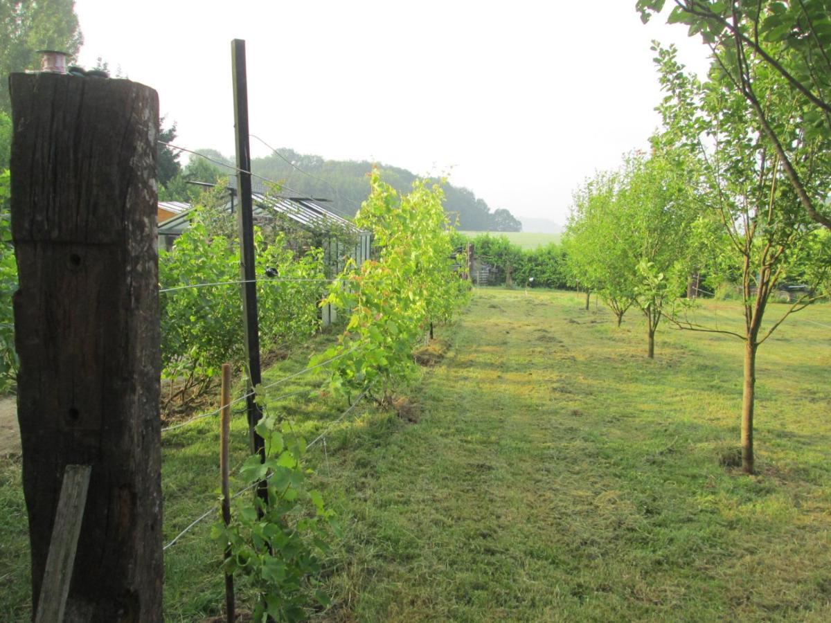 Florennes Gîte neuf 150 M2 devant un grand lac privé de 2 hectares poissonneux au milieu des bois Exterior foto