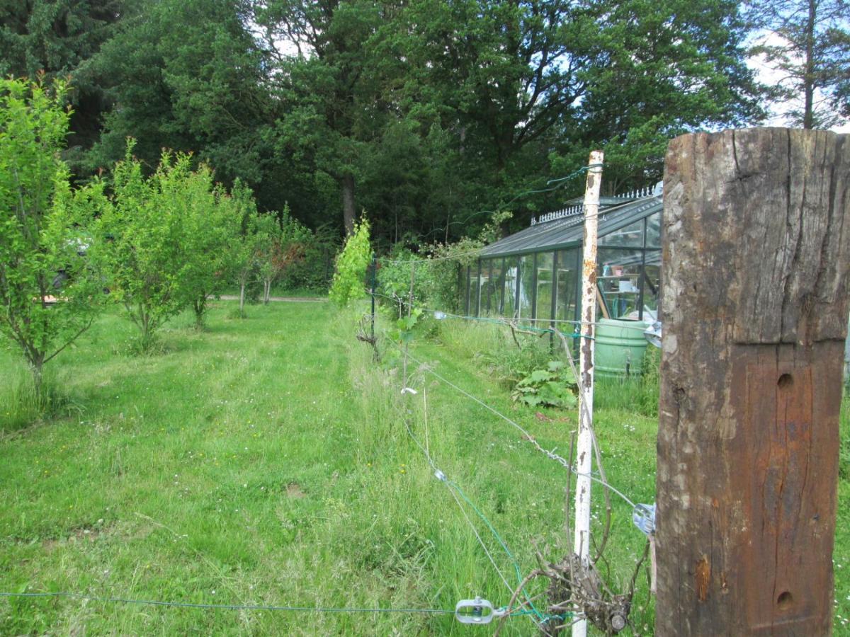Florennes Gîte neuf 150 M2 devant un grand lac privé de 2 hectares poissonneux au milieu des bois Exterior foto
