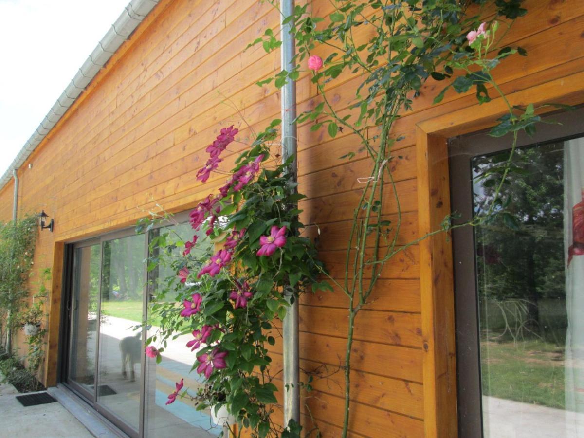 Florennes Gîte neuf 150 M2 devant un grand lac privé de 2 hectares poissonneux au milieu des bois Exterior foto