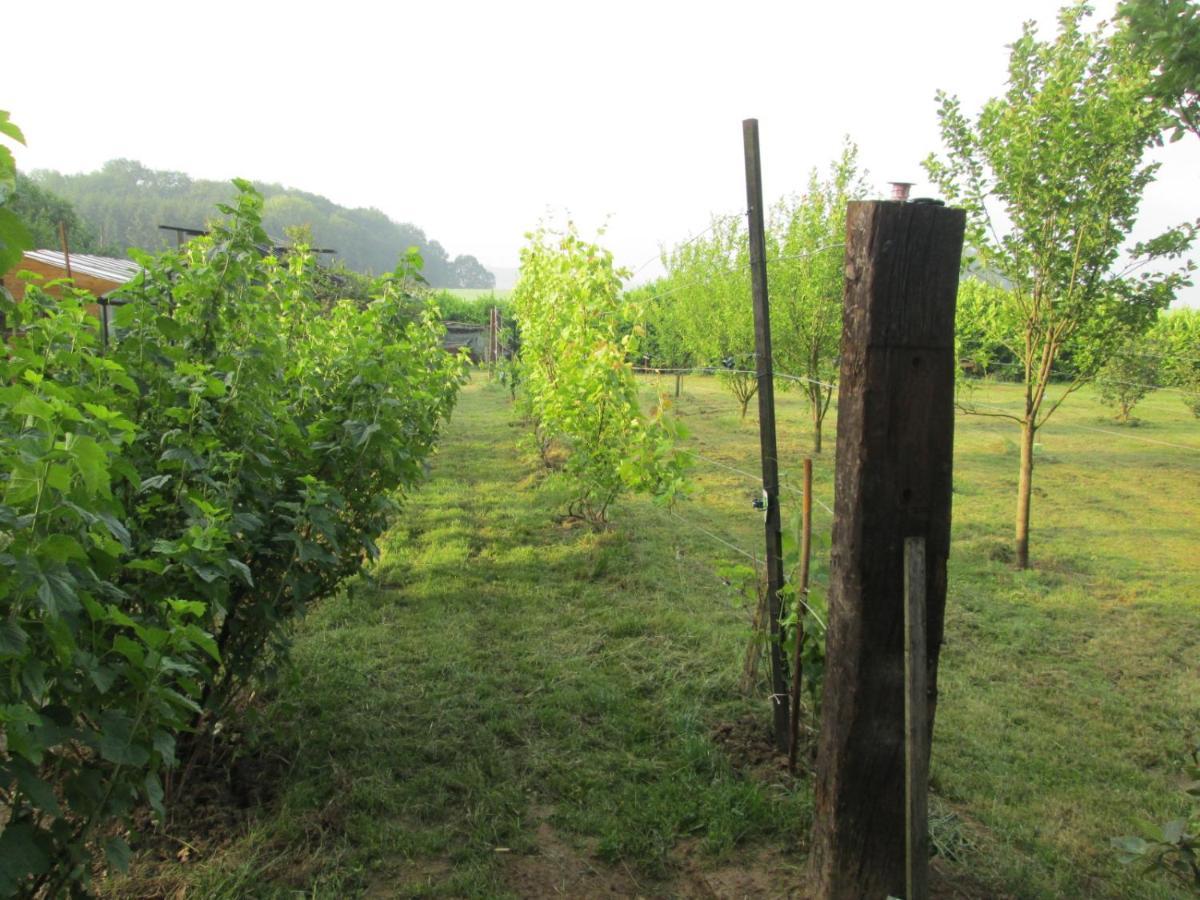 Florennes Gîte neuf 150 M2 devant un grand lac privé de 2 hectares poissonneux au milieu des bois Exterior foto