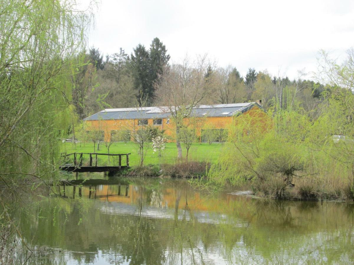 Florennes Gîte neuf 150 M2 devant un grand lac privé de 2 hectares poissonneux au milieu des bois Exterior foto