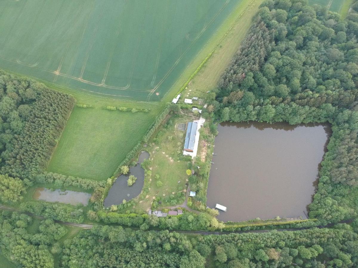 Florennes Gîte neuf 150 M2 devant un grand lac privé de 2 hectares poissonneux au milieu des bois Exterior foto