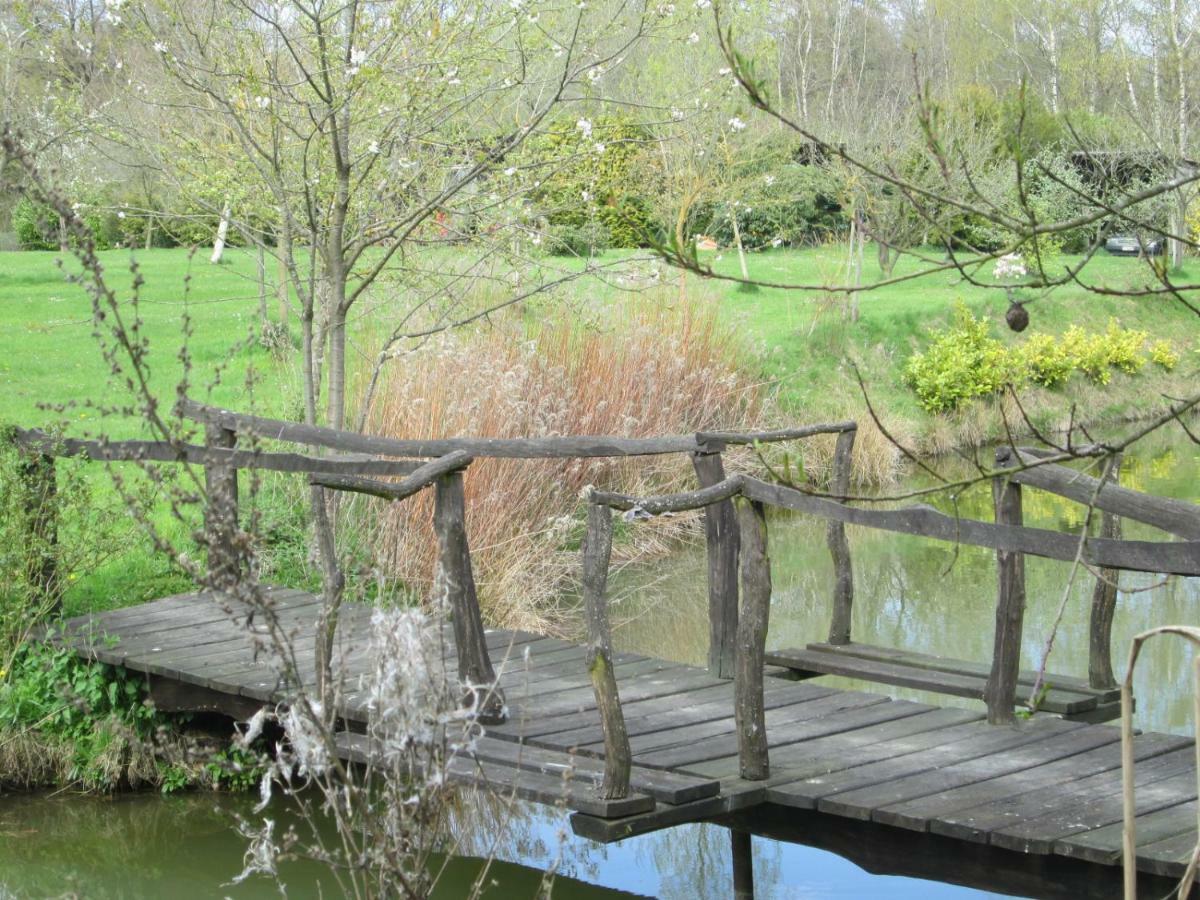 Florennes Gîte neuf 150 M2 devant un grand lac privé de 2 hectares poissonneux au milieu des bois Exterior foto