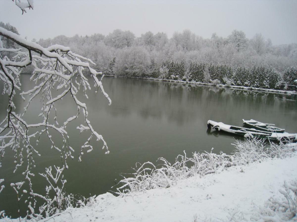 Florennes Gîte neuf 150 M2 devant un grand lac privé de 2 hectares poissonneux au milieu des bois Exterior foto