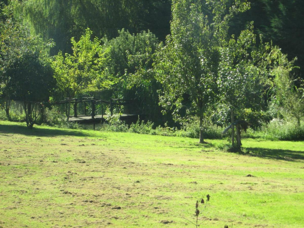 Florennes Gîte neuf 150 M2 devant un grand lac privé de 2 hectares poissonneux au milieu des bois Exterior foto