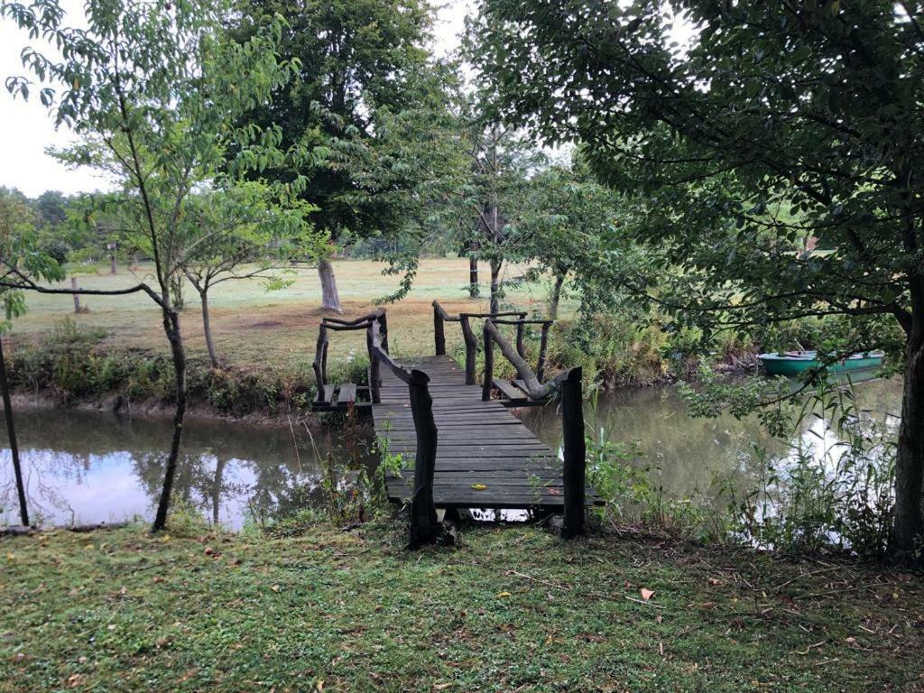 Florennes Gîte neuf 150 M2 devant un grand lac privé de 2 hectares poissonneux au milieu des bois Exterior foto