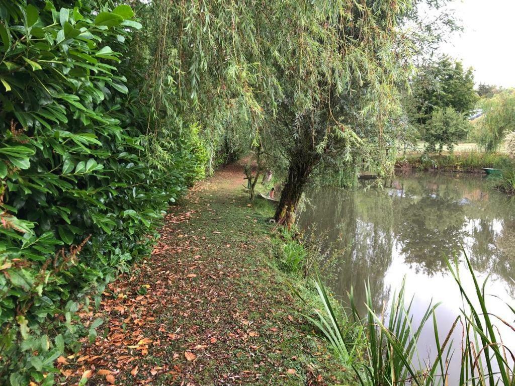 Florennes Gîte neuf 150 M2 devant un grand lac privé de 2 hectares poissonneux au milieu des bois Exterior foto